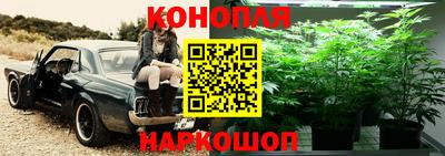 PSILOCYBIN Тулун