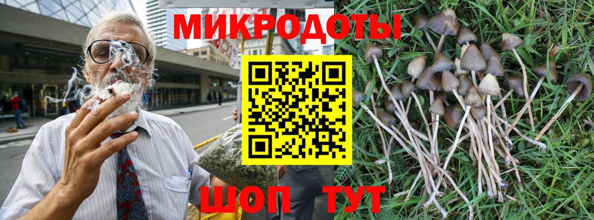 Галлюциногенные грибы Cubensis  Вход с VPN  закладка  Псилоцибиновые грибы Cubensis  Михайловка 