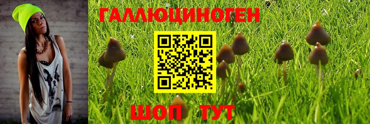 Галлюциногенные грибы MAGIC MUSHROOMS Михайловка